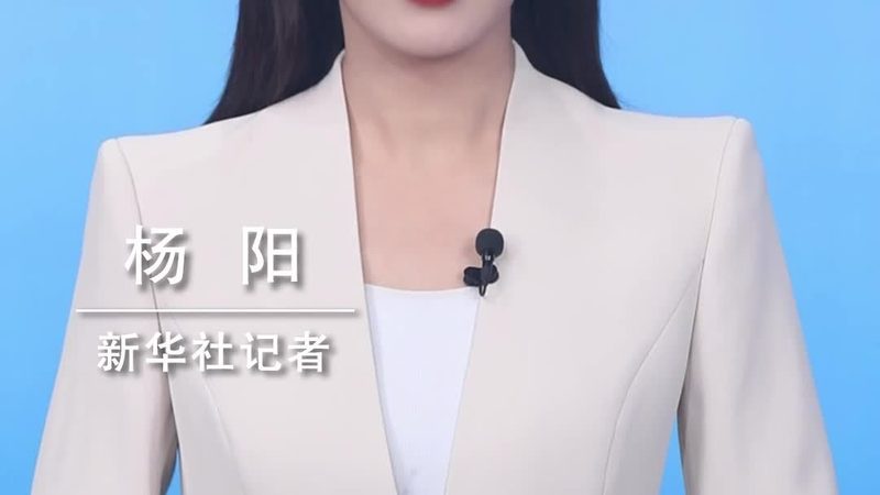 知识图谱：揭秘知识表示学习的奥秘与定制服务